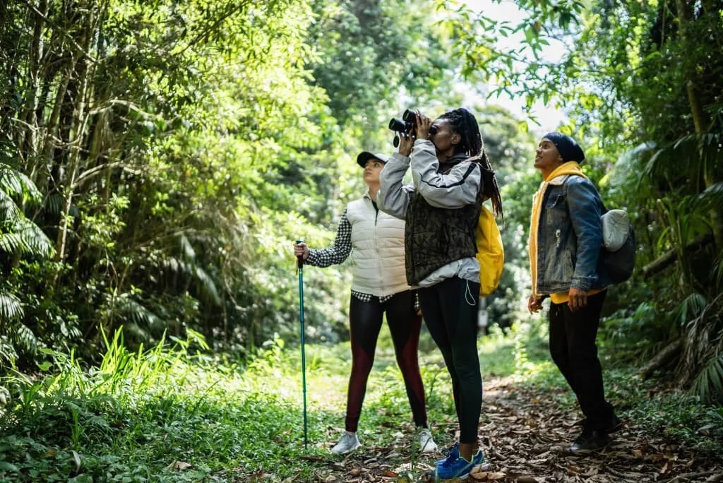 Nature explorers walking a green forest trail